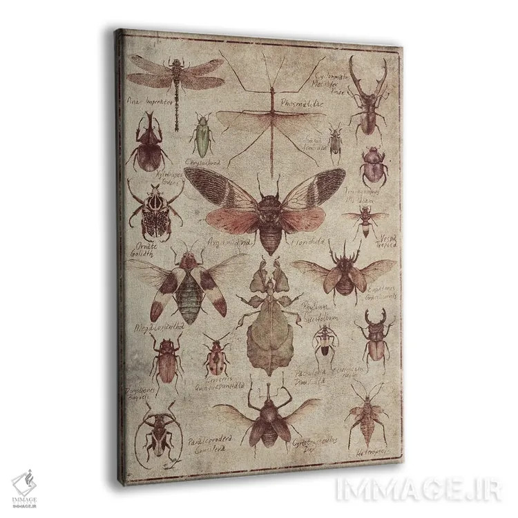 تابلو دکوراتیو حشرات قدیمی اثر مایک کوبو - نمای پرسپکتیو محصول