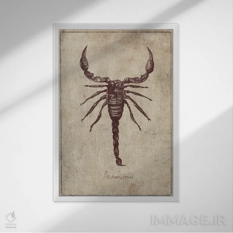 تابلو دکوراتیو پالامنارسوس اثر مایک کوبو - نمای قابدار سفید