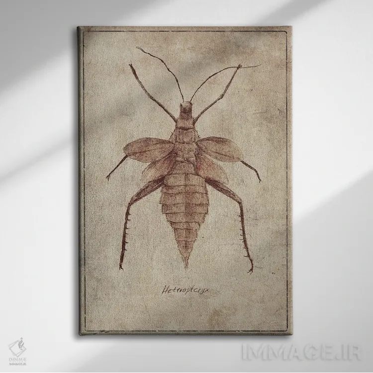 تابلو دکوراتیو هتروپتریکس C اثر مایک کوبو - نمای روبهرو روی دیوار