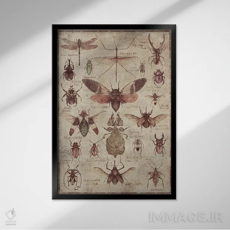 تابلو دکوراتیو حشرات قدیمی اثر مایک کوبو - نمای قابدار مشکی