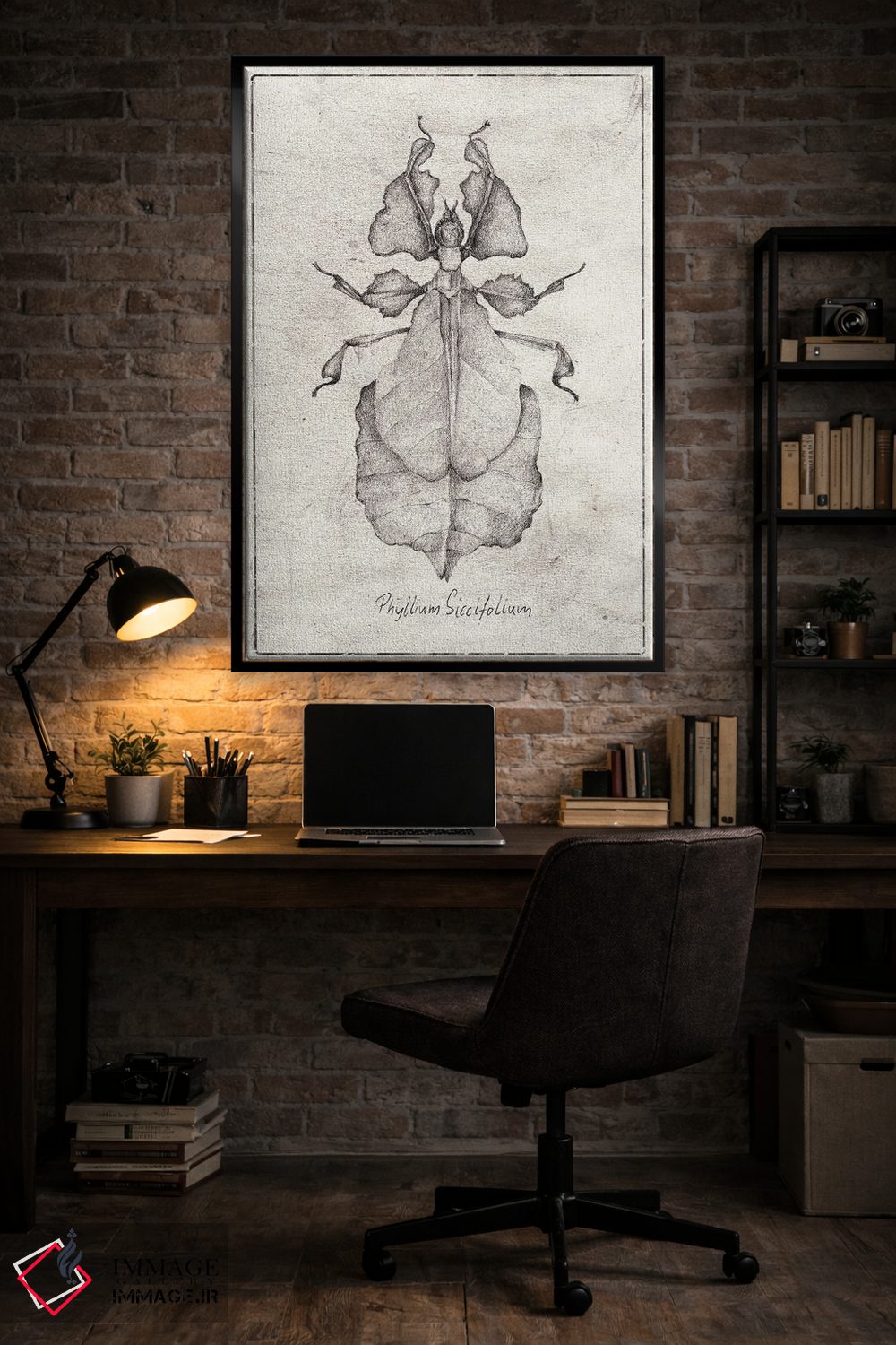 تابلو دکوراتیو فیللیوم سیکسیفولیوم اثر مایک کوبو - D5B