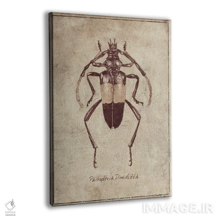 تابلو دکوراتیو پاکیتریا دی میدیاتا ۲ اثر مایک کوبو - نمای پرسپکتیو محصول