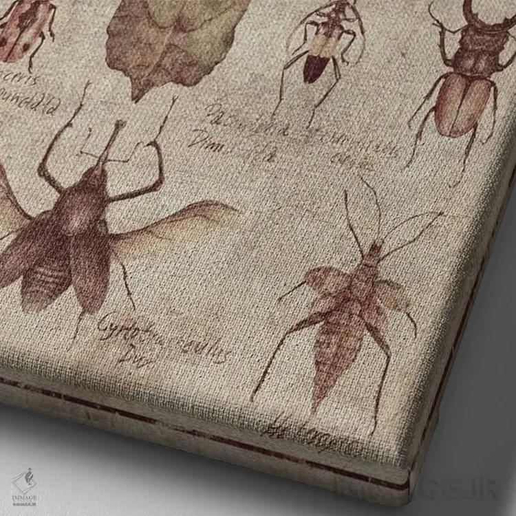 تابلو دکوراتیو حشرات قدیمی اثر مایک کوبو - نمای نزدیک بافت بوم