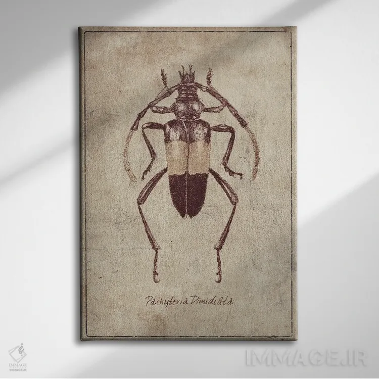 تابلو دکوراتیو پاکیتریا دی میدیاتا ۲ اثر مایک کوبو - نمای روبهرو روی دیوار