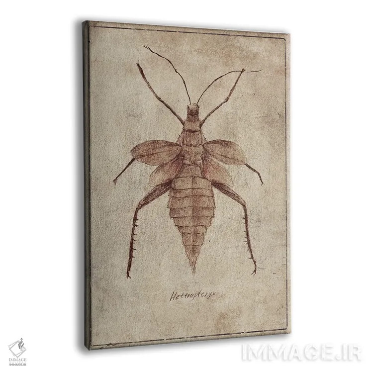 تابلو دکوراتیو هتروپتریکس C اثر مایک کوبو - نمای پرسپکتیو محصول