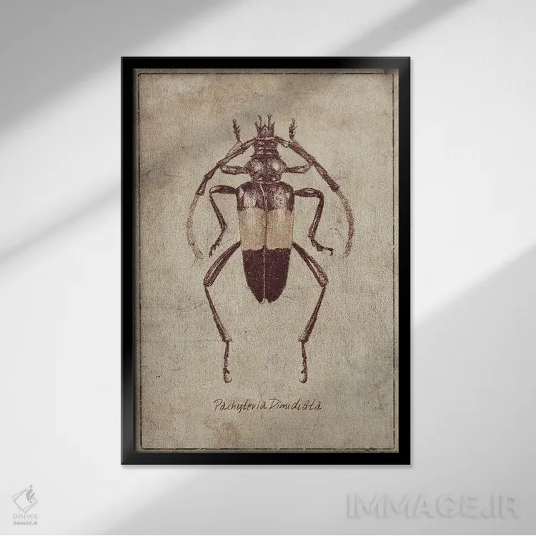 تابلو دکوراتیو پاکیتریا دی میدیاتا ۲ اثر مایک کوبو - نمای قابدار مشکی