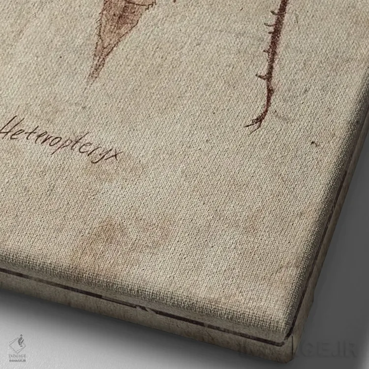 تابلو دکوراتیو هتروپتریکس C اثر مایک کوبو - نمای نزدیک بافت بوم