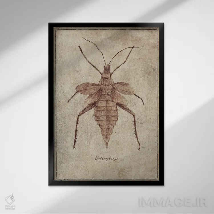 تابلو دکوراتیو هتروپتریکس C اثر مایک کوبو - نمای قابدار مشکی