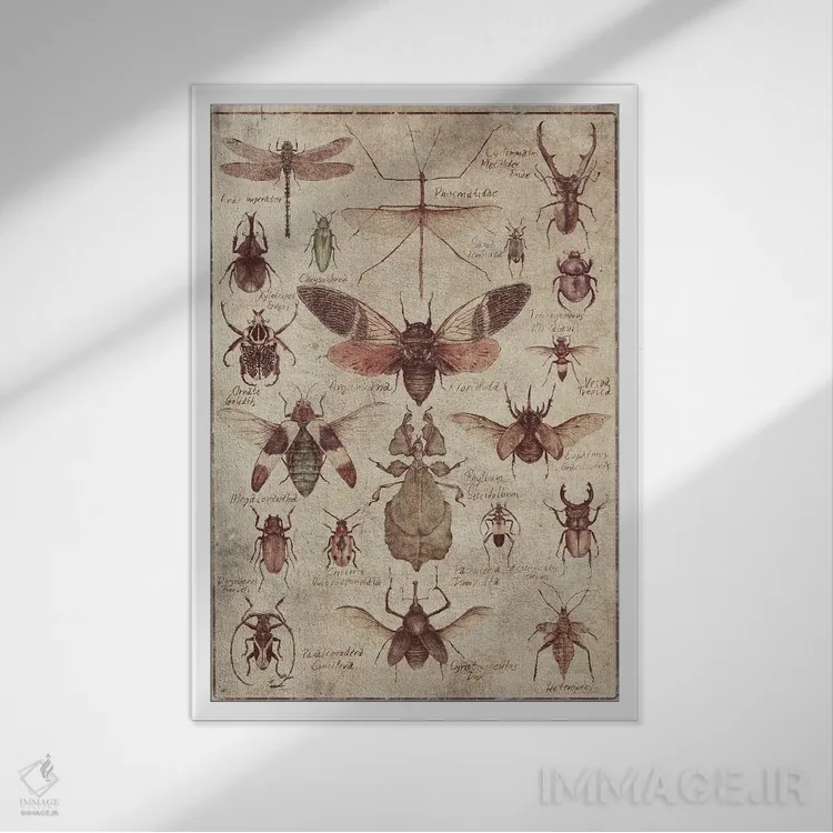 تابلو دکوراتیو حشرات قدیمی اثر مایک کوبو - نمای قابدار سفید