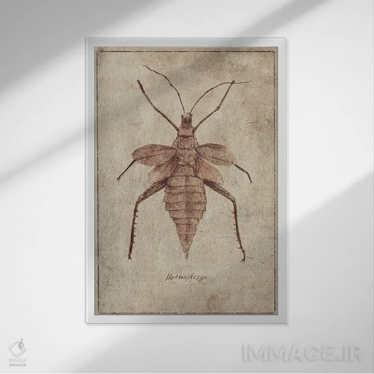 تابلو دکوراتیو هتروپتریکس C اثر مایک کوبو - نمای قابدار سفید