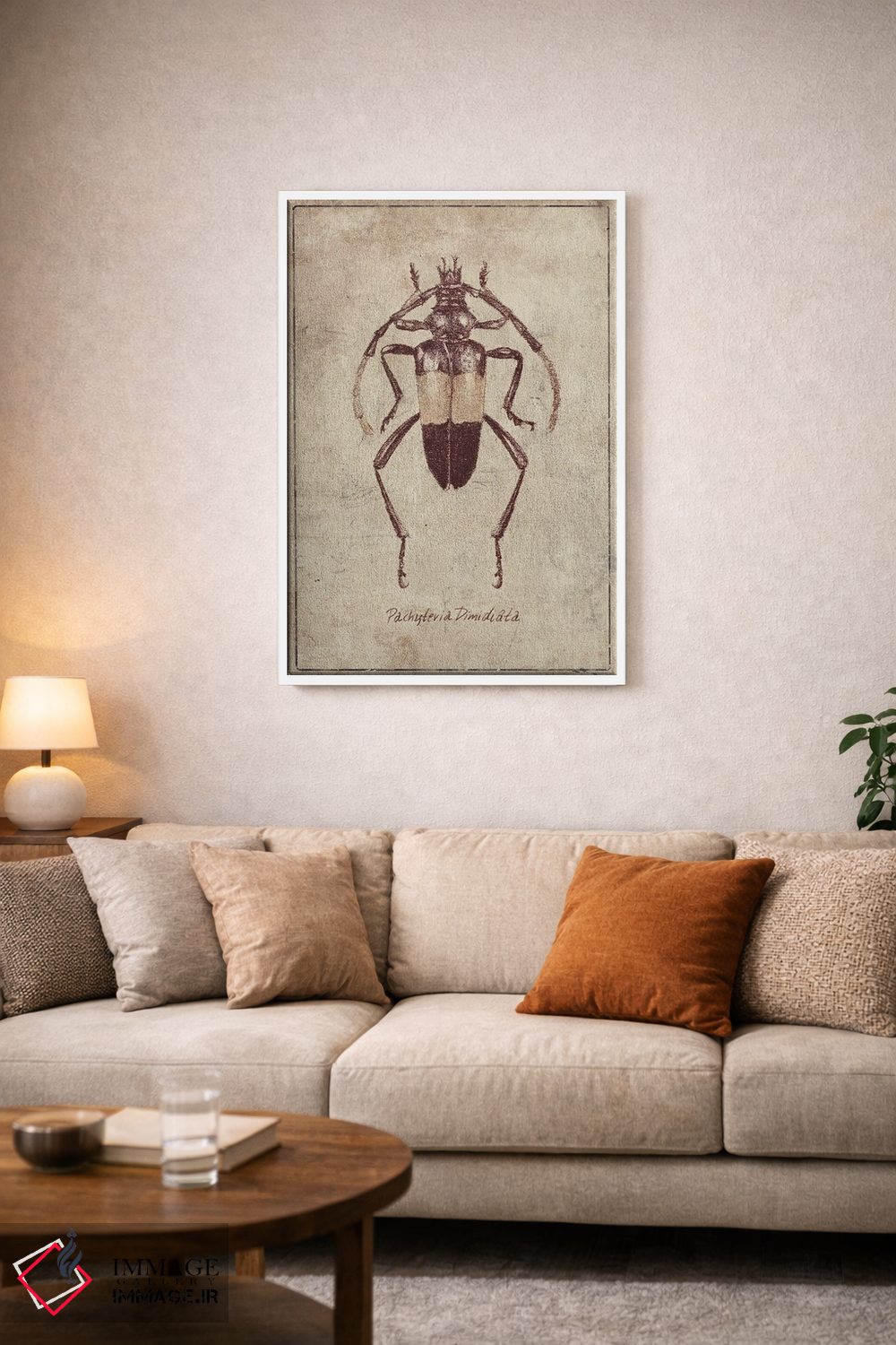 تابلو دکوراتیو پاکیتریا دی میدیاتا ۲ اثر مایک کوبو - D4W