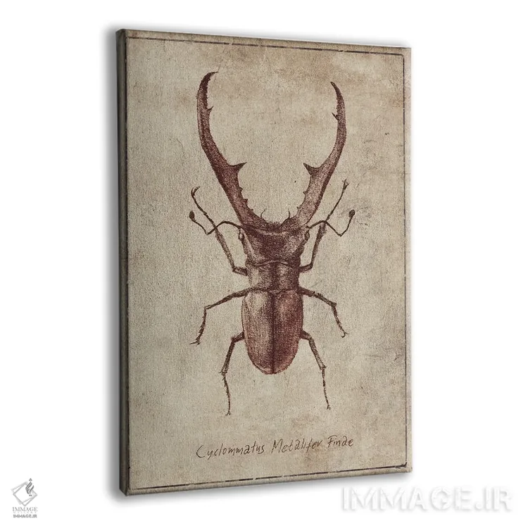 تابلو دکوراتیو سیکلوماتوس متالیفر فینه ۲ اثر مایک کوبو - نمای پرسپکتیو محصول