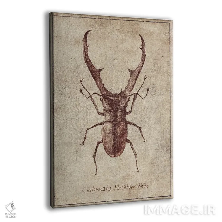 تابلو دکوراتیو سیکلوماتوس متالیفر فینه ۲ اثر مایک کوبو - نمای پرسپکتیو محصول