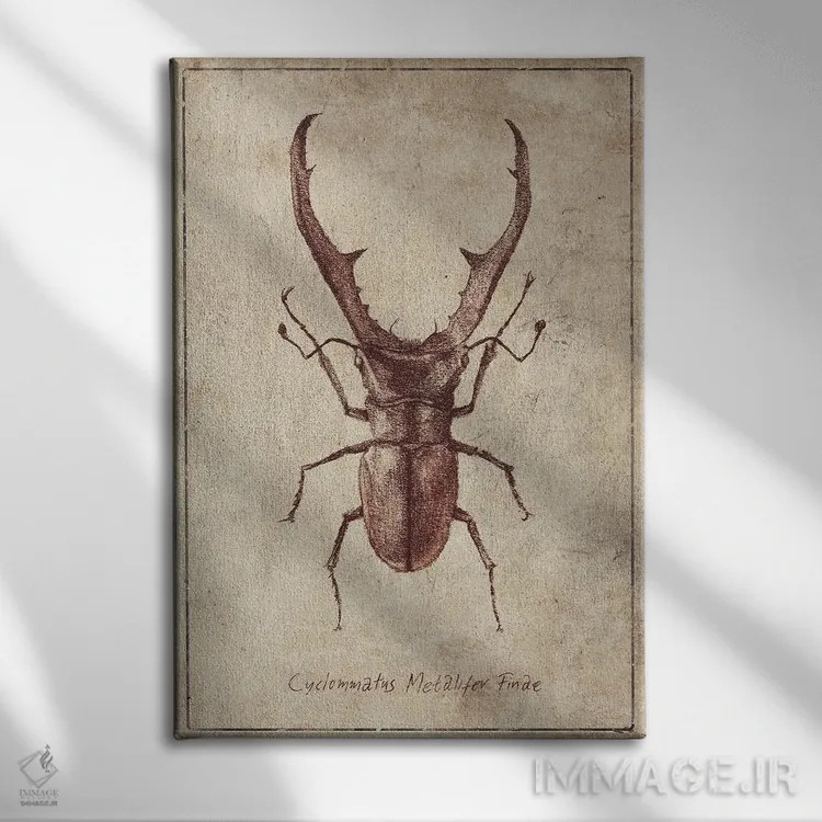 تابلو دکوراتیو سیکلوماتوس متالیفر فینه ۲ اثر مایک کوبو - نمای روبهرو روی دیوار