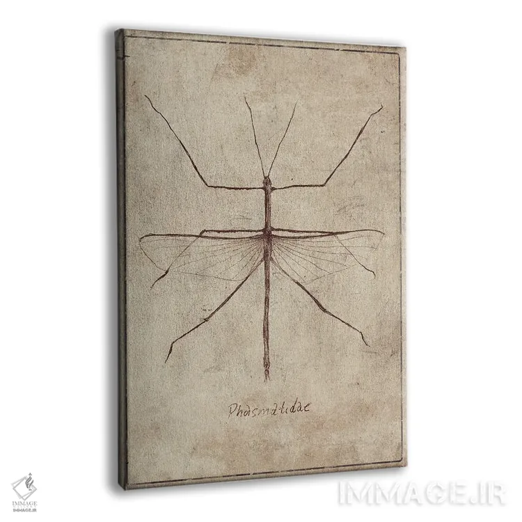 تابلو دکوراتیو فسماتیده ۲ اثر مایک کوبو - نمای پرسپکتیو محصول