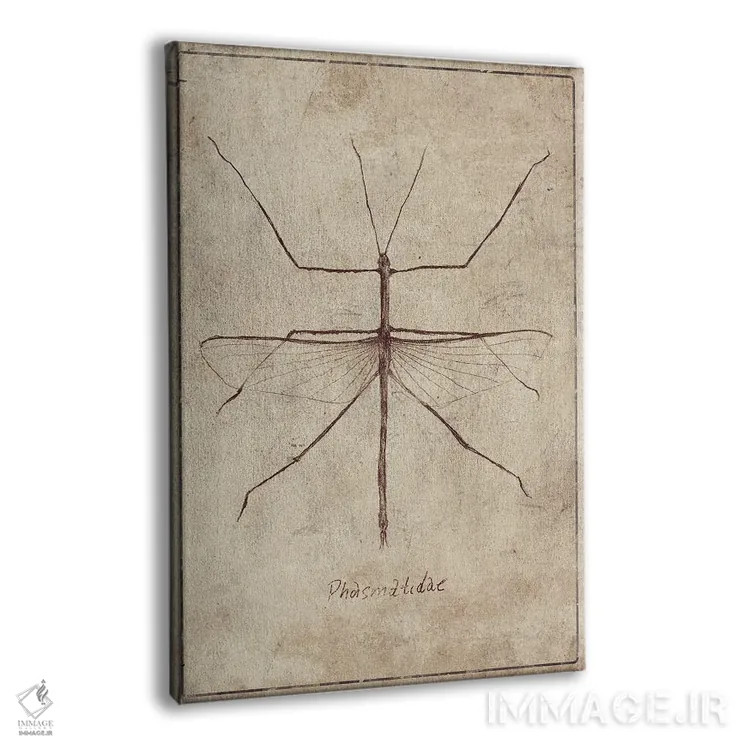 تابلو دکوراتیو فسماتیده ۲ اثر مایک کوبو - نمای پرسپکتیو محصول