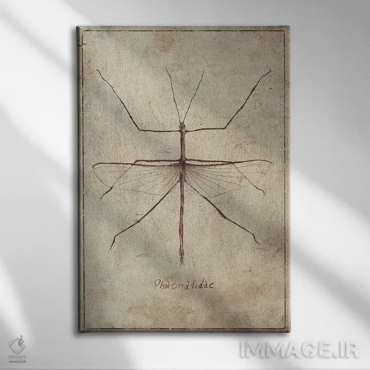 تابلو دکوراتیو فسماتیده ۲ اثر مایک کوبو - نمای روبهرو روی دیوار