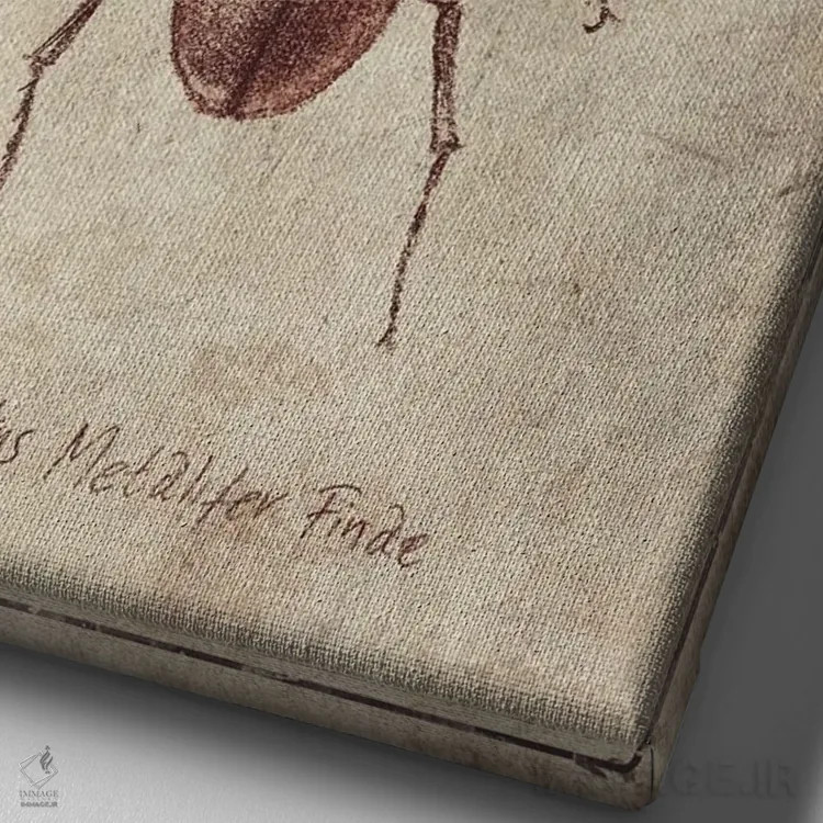 تابلو دکوراتیو سیکلوماتوس متالیفر فینه ۲ اثر مایک کوبو - نمای نزدیک بافت بوم