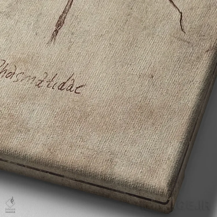 تابلو دکوراتیو فسماتیده ۲ اثر مایک کوبو - نمای نزدیک بافت بوم