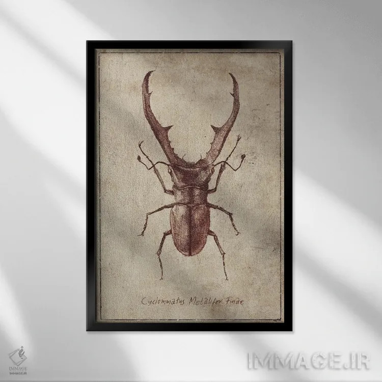 تابلو دکوراتیو سیکلوماتوس متالیفر فینه ۲ اثر مایک کوبو - نمای قابدار مشکی