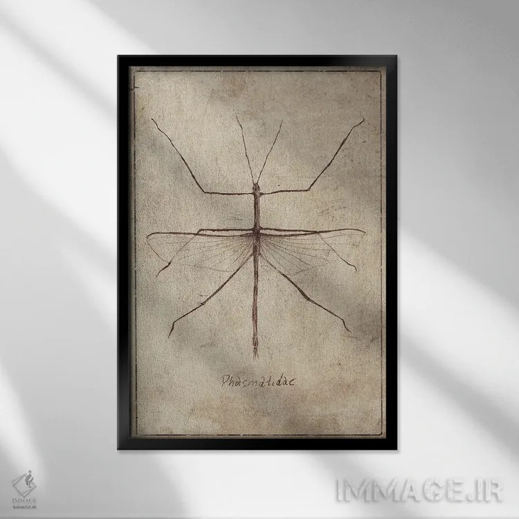 تابلو دکوراتیو فسماتیده ۲ اثر مایک کوبو - نمای قابدار مشکی