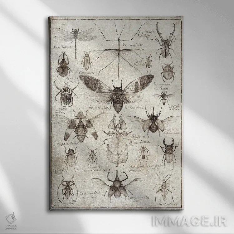 تابلو دکوراتیو حشرات سیاه وسفید اثر مایک کوبو - نمای روبهرو روی دیوار