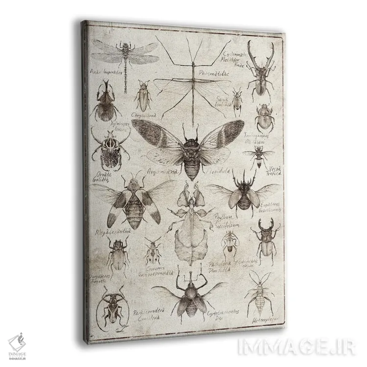 تابلو دکوراتیو حشرات سیاه وسفید اثر مایک کوبو - نمای پرسپکتیو محصول