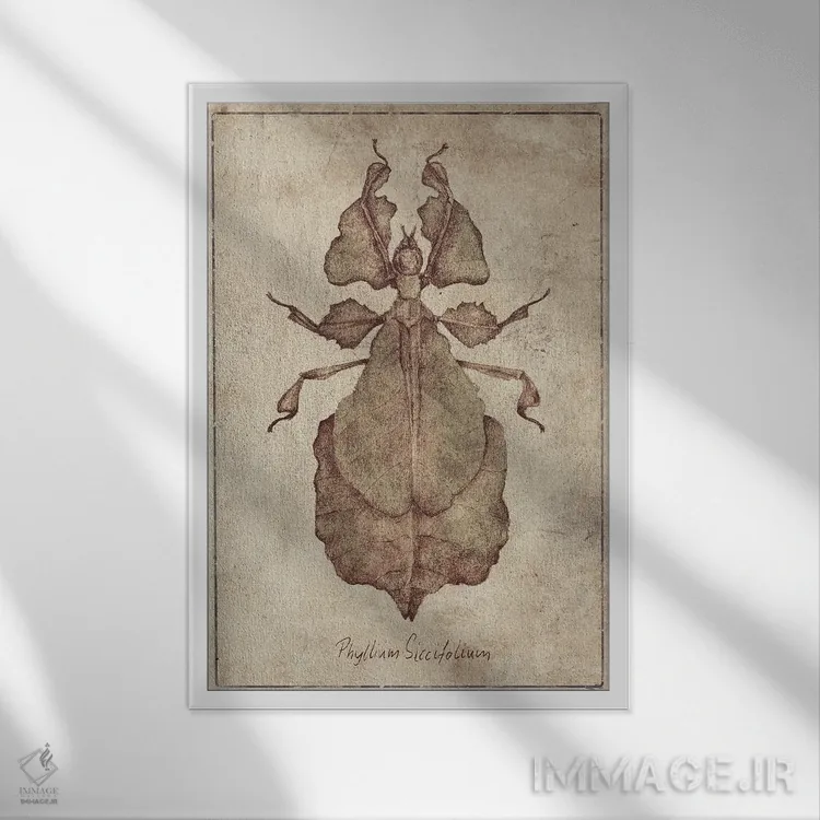 تابلو دکوراتیو فیللیوم سیکسیفولیوم ۲ اثر مایک کوبو - نمای قابدار سفید