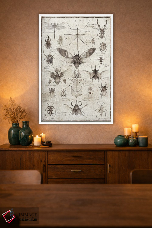 تابلو دکوراتیو حشرات سیاه وسفید اثر مایک کوبو - D1W