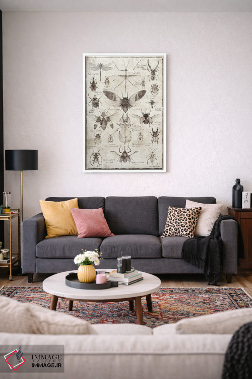 تابلو دکوراتیو حشرات سیاه وسفید اثر مایک کوبو - D3W