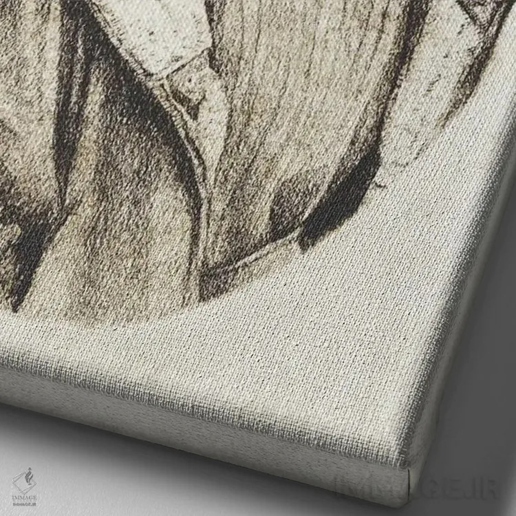 تابلو دکوراتیو آماده پرواز اثر مایک کوبو - نمای نزدیک بافت بوم