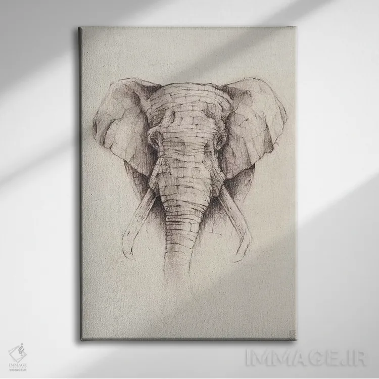 تابلو دکوراتیو "فیل ۲" اثر مایک کوبو - نمای روبهرو روی دیوار