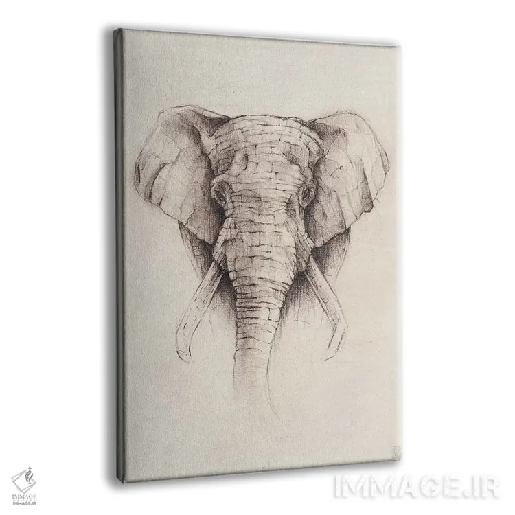 تابلو دکوراتیو "فیل ۲" اثر مایک کوبو - نمای پرسپکتیو محصول