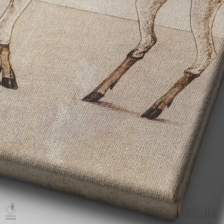 تابلو دکوراتیو "بوکس وحشی" اثر مایک کوبو - نمای نزدیک بافت بوم