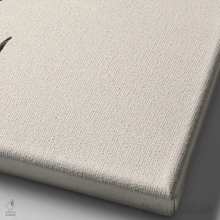 تابلو مینیمال "پرنده" اثر مایک کوبو - نمای نزدیک بافت بوم