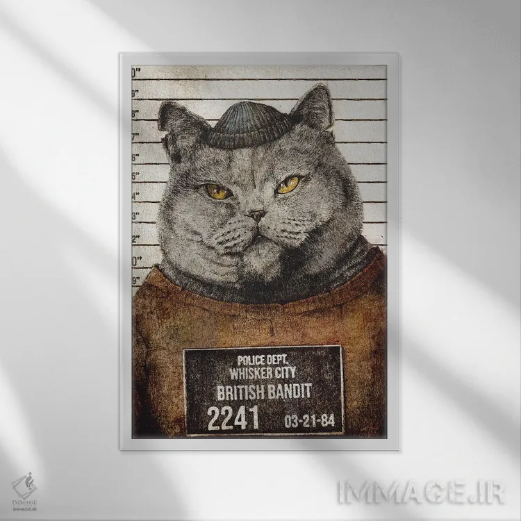 تابلو دکوراتیو "راهزن بریتانیایی" اثر مایک کوبو - نمای قابدار سفید