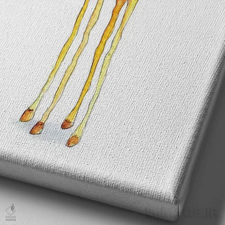 تابلو دکوراتیو "سلام ماه" اثر مایک کوبو - نمای نزدیک بافت بوم