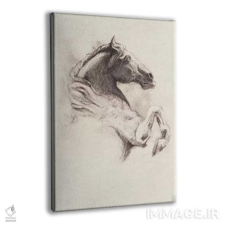 تابلو دکوراتیو "اسب ۱" اثر مایک کوبو - نمای پرسپکتیو محصول