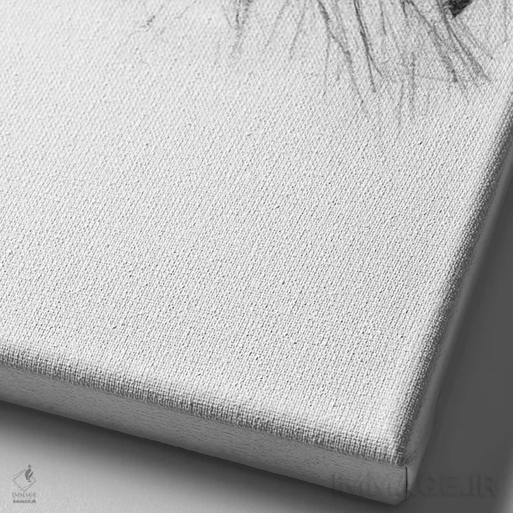 تابلو دکوراتیو "جغد ۳" اثر مایک کوبو - نمای نزدیک بافت بوم