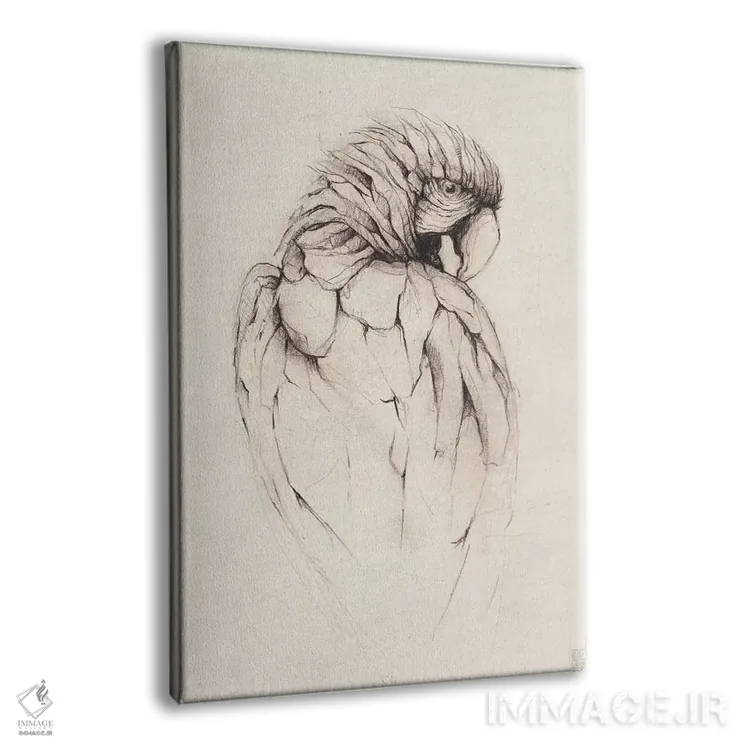 تابلو دکوراتیو "طوطی ۱" اثر مایک کوبو - نمای پرسپکتیو محصول