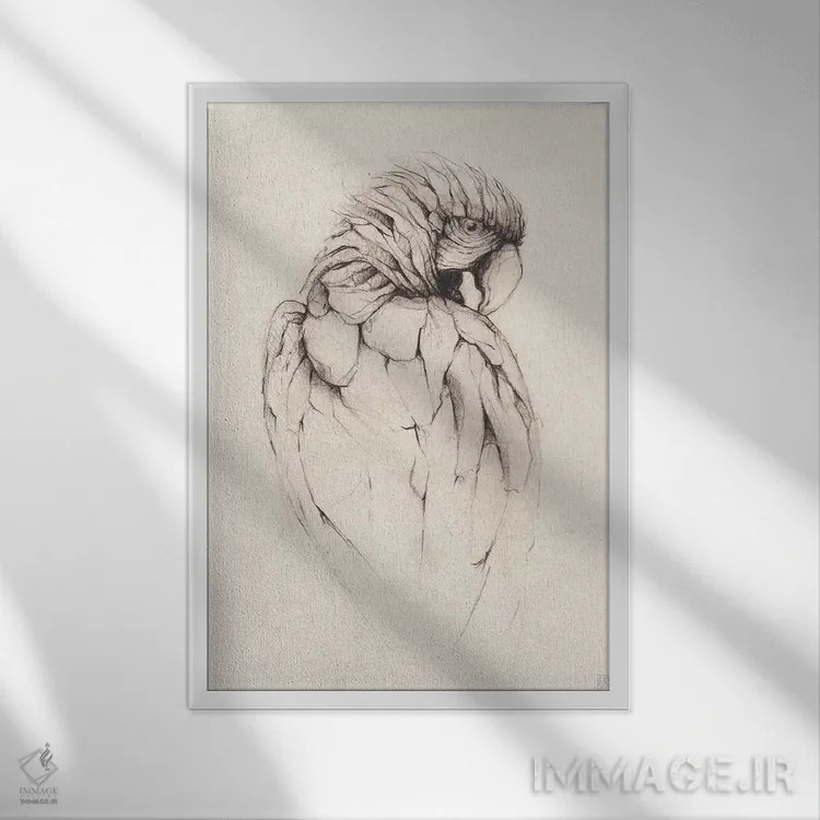 تابلو دکوراتیو "طوطی ۱" اثر مایک کوبو - نمای قابدار سفید