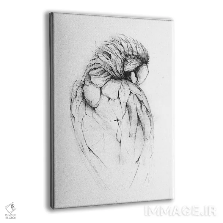 تابلو دکوراتیو "طوطی ۲" اثر مایک کوبو - نمای پرسپکتیو محصول