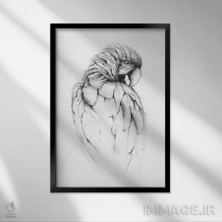 تابلو دکوراتیو "طوطی ۲" اثر مایک کوبو - نمای قابدار مشکی