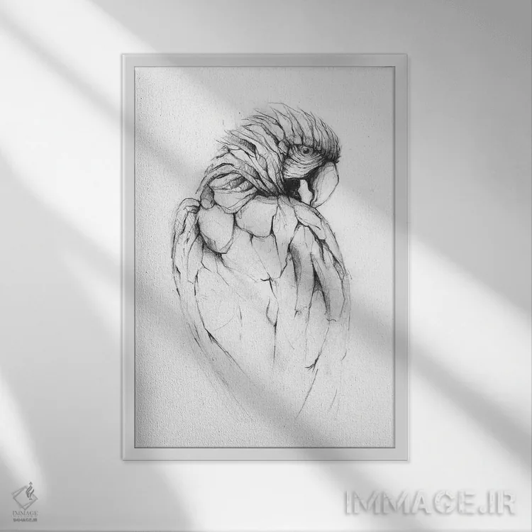 تابلو دکوراتیو "طوطی ۲" اثر مایک کوبو - نمای قابدار سفید