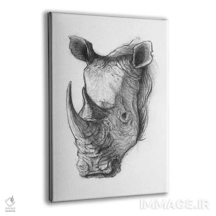 تابلو دکوراتیو "کرگدن ۵" اثر مایک کوبو - نمای پرسپکتیو محصول