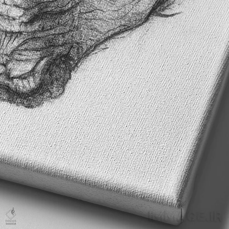 تابلو دکوراتیو "کرگدن ۵" اثر مایک کوبو - نمای نزدیک بافت بوم