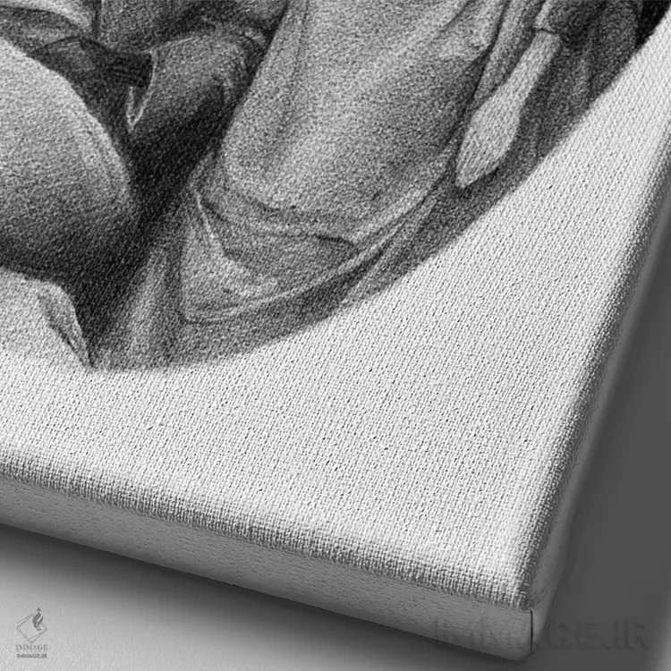 تابلو دکوراتیو "روباه ها" اثر مایک کوبو - نمای نزدیک بافت بوم