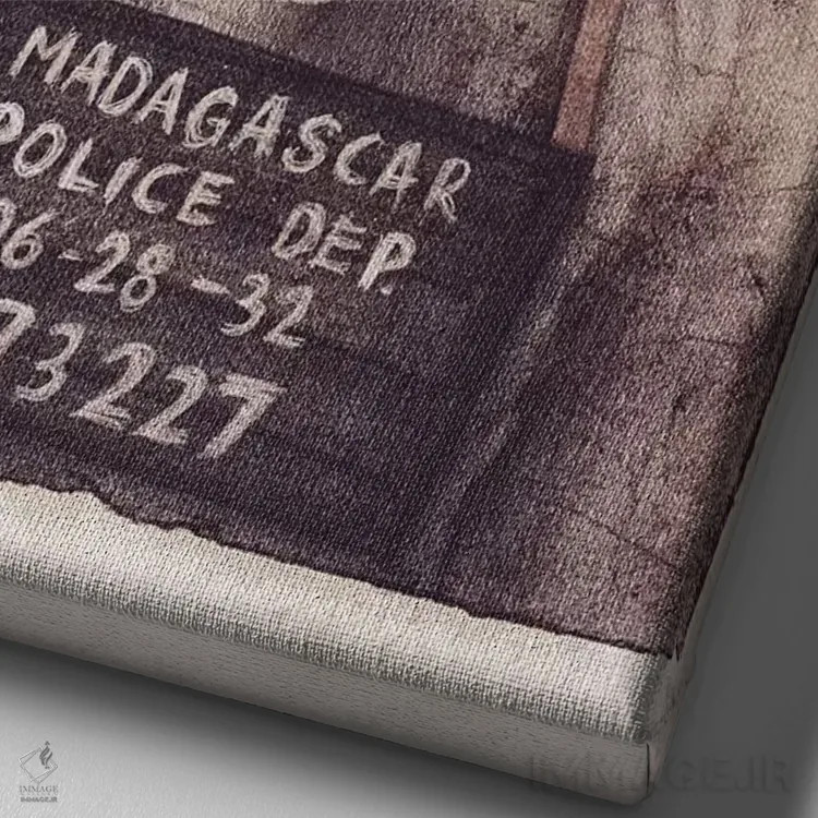 تابلو دکوراتیو "عکس پلیس ماداگاسکار" اثر مایک کوبو - نمای نزدیک بافت بوم