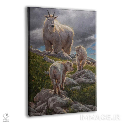 تابلو دکوراتیو پناهگاه سیراهای بلند اثر مارک مک کنا - نمای پرسپکتیو محصول