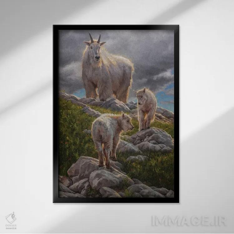 تابلو دکوراتیو پناهگاه سیراهای بلند اثر مارک مک کنا - نمای قابدار مشکی